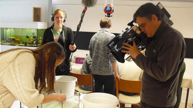 Eine Schülerin des Biologie-LK (Stufe 12) entnimmt Proben für mikoroskopische Untersuchungen, gefilmt von einem Team des WDR im Naturschutzzentrum Arche Noah Menden am 6.11.2012. (Foto: WDR)