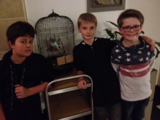 Tobi, David und Leo aus der Klasse 5a sind froh, dass "Hedwig" nun gut aufgehoben ist. (Foto: Lügger/SMMP)