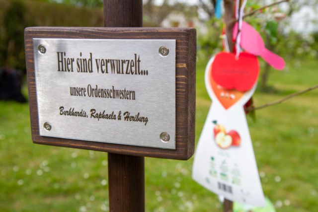 Durch den Apfelbaum bleiben die Schwestern in Menden verwurzelt. Foto: SMMP/Ulrich Bock